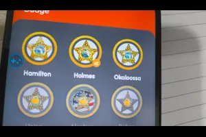 orange3 image